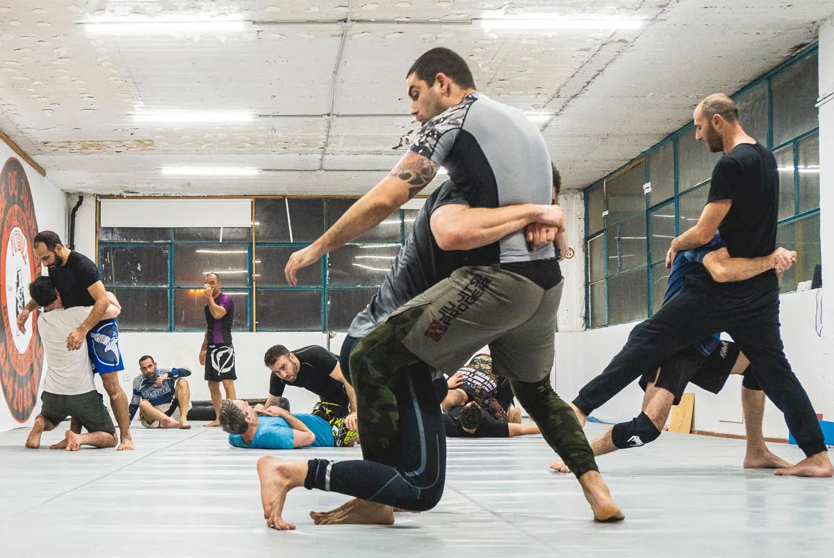 MMA - טייקדאון ואחיזה